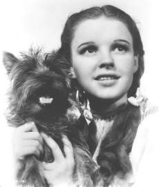 Dorothy and Toto